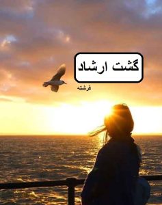 دانلود رمان گشت ارشاد pdf