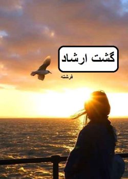 دانلود رمان گشت ارشاد pdf