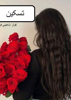 دانلود رمان تسکین pdf