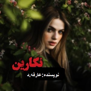 دانلود رمان نگارین pdf