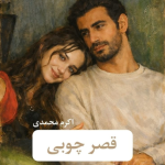 دانلودرمان قصرچوبی PDF